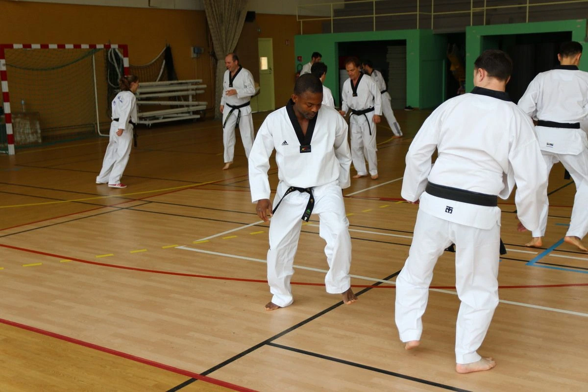 Stage Houlgate 2018 - Photo 10