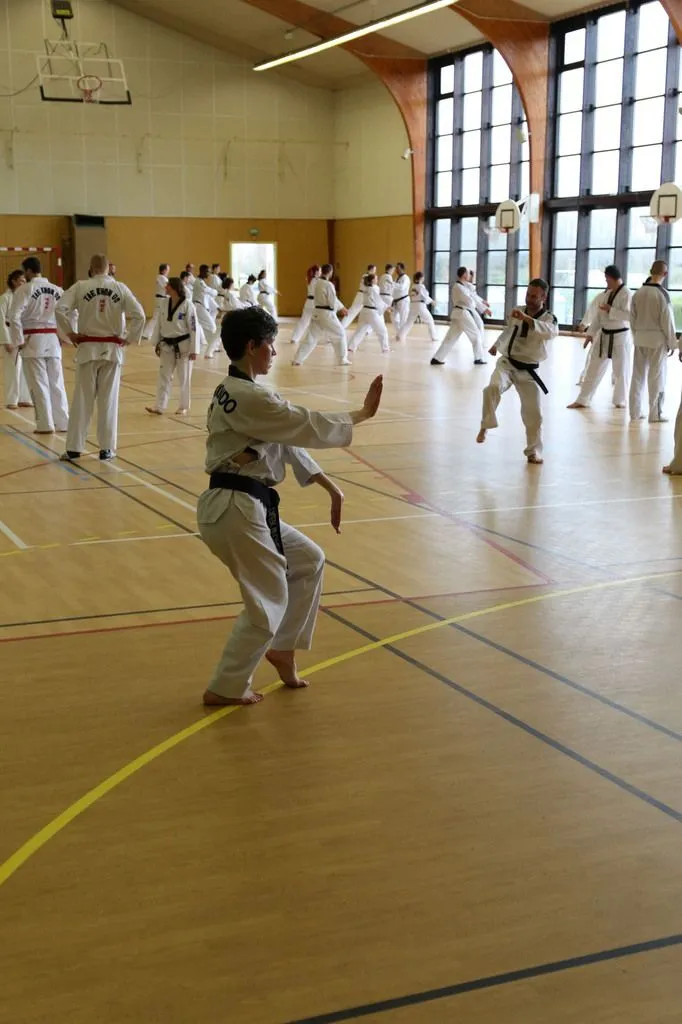 Stage Houlgate 2018 - Photo 14