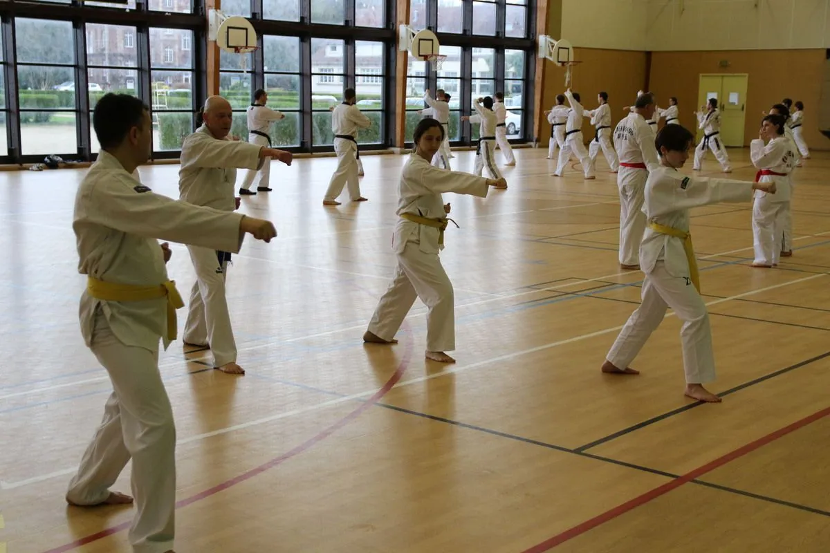 Stage Houlgate 2018 - Photo 16