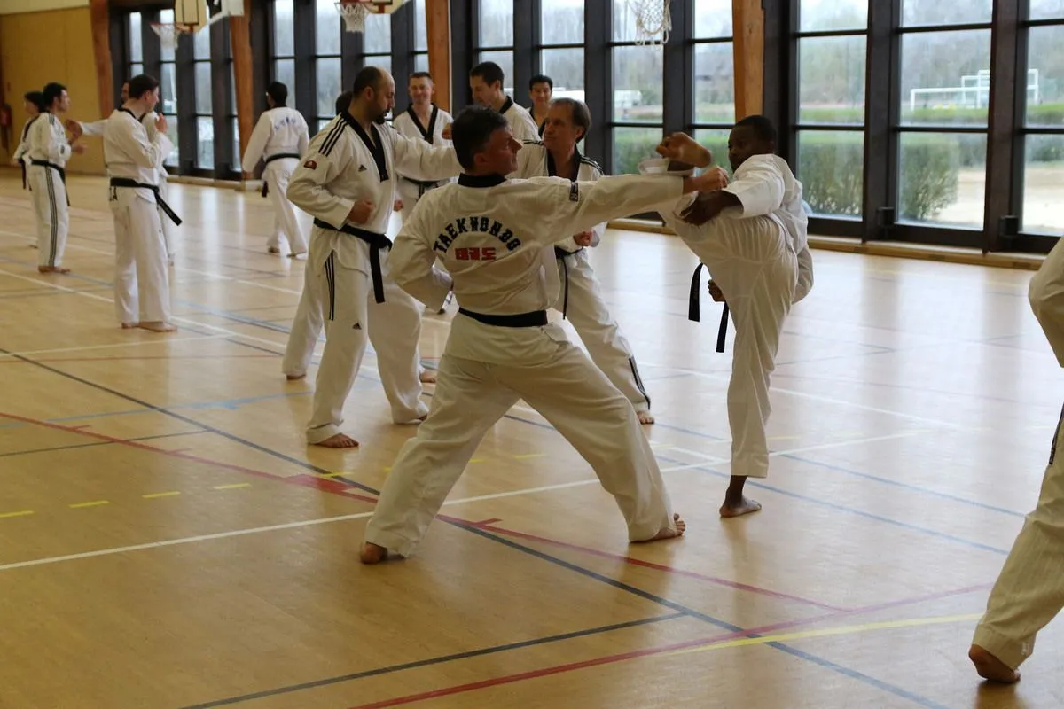 Stage Houlgate 2018 - Photo 20