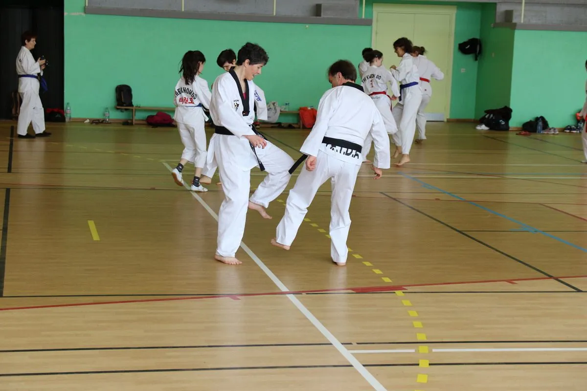 Stage Houlgate 2018 - Photo 11