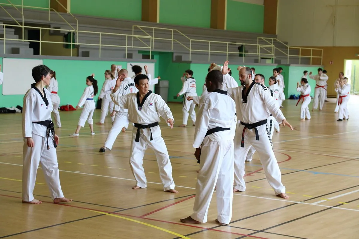 Stage Houlgate 2018 - Photo 12