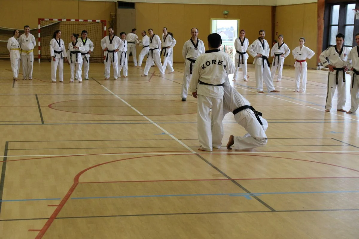 Stage Houlgate 2018 - Photo 23