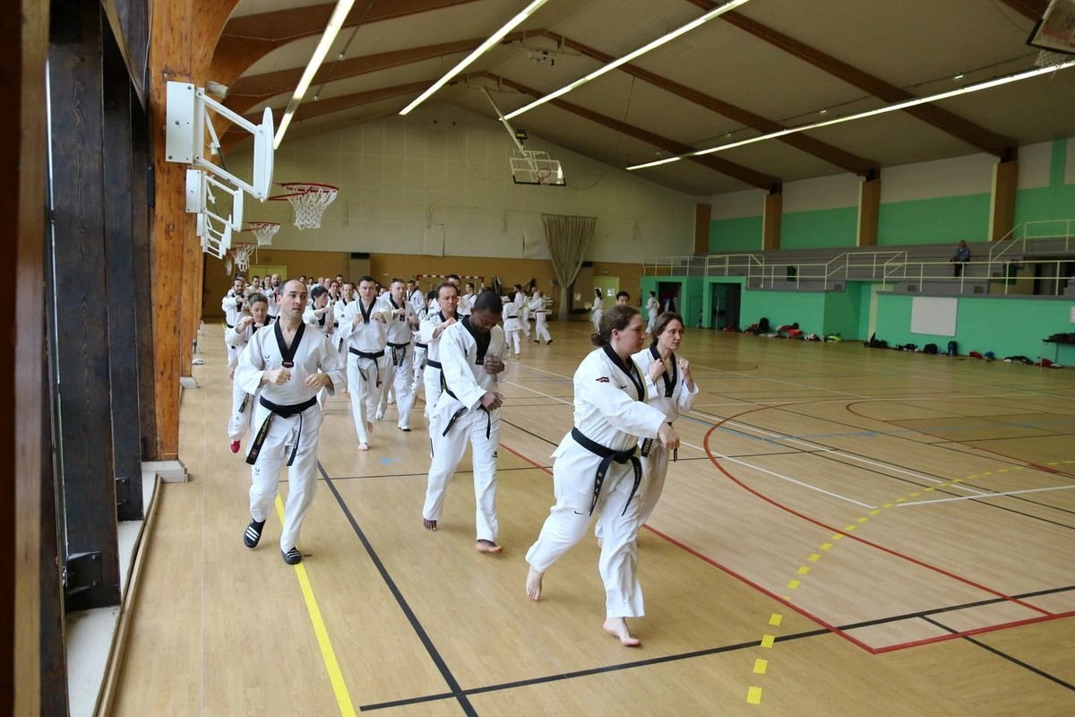 Stage Houlgate 2018 - Photo 5