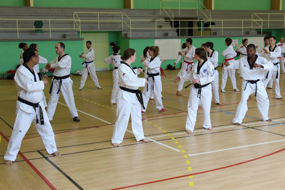 Stage Houlgate 2018 - Photo 6