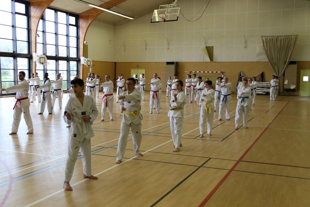 Stage Houlgate 2018 - Photo 8