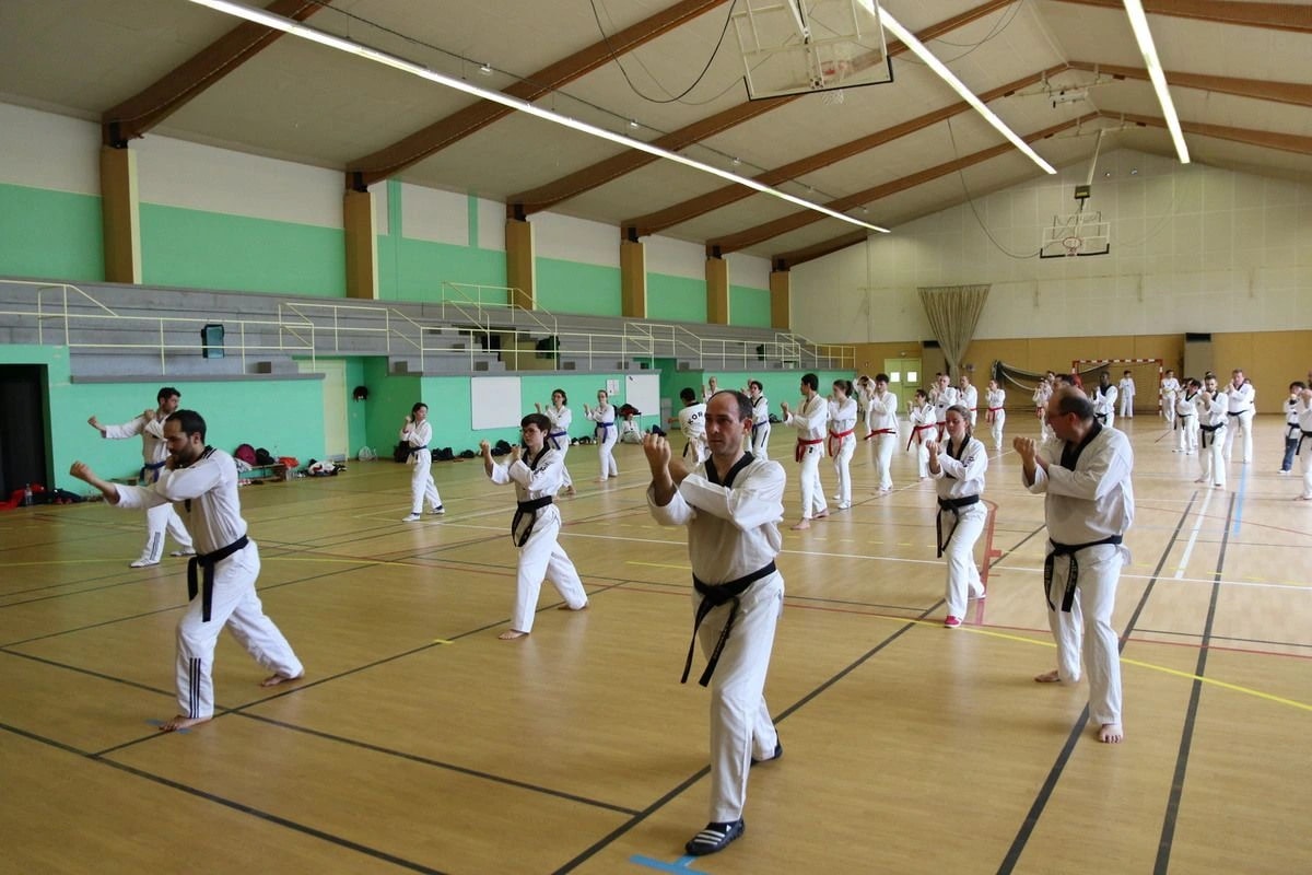 Stage Houlgate 2018 - Photo 9